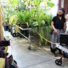 Viewing the Corpse Flowers at Temple Ambler