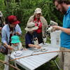 kids doing citizen science, looking into a microscope
