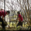 Tyler School of Art students work on an environmental project.