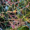 Yarn in a web