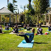 students doing yoga in the garden
