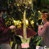 Viewing the corpse flowers
