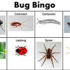 a bug bingo card with different scary bug in the squares