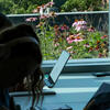 students working on computers in the foreground with flowers outside the window