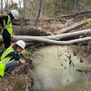 Studying a streambank in the observation forest.