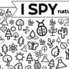 a coloring page with outlines of different shapes found in nature