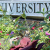 TUA-Entrance.jpg