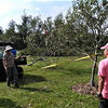 Volunteering in the Ambler Arboretum