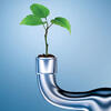 a plant growing out of an upturned water pipe