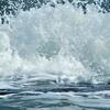 Why-is-Water-Important.JPG