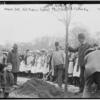 Historical tree planting