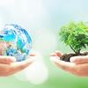 one hand holding a globe and another hand holding a small plant with soil